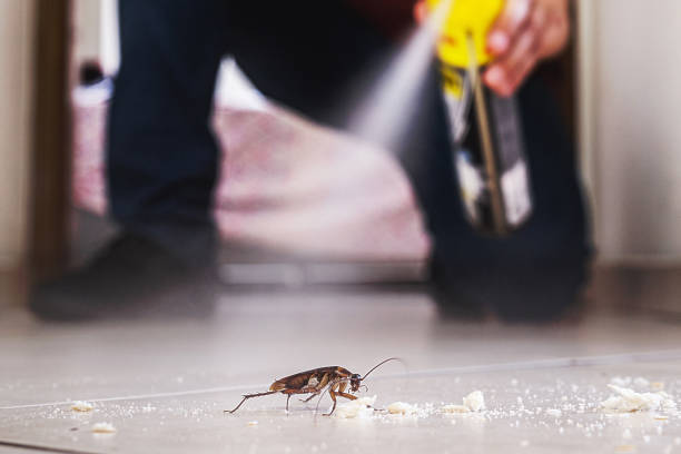 Trusted Haddon Heights, NJ Pest Control Experts